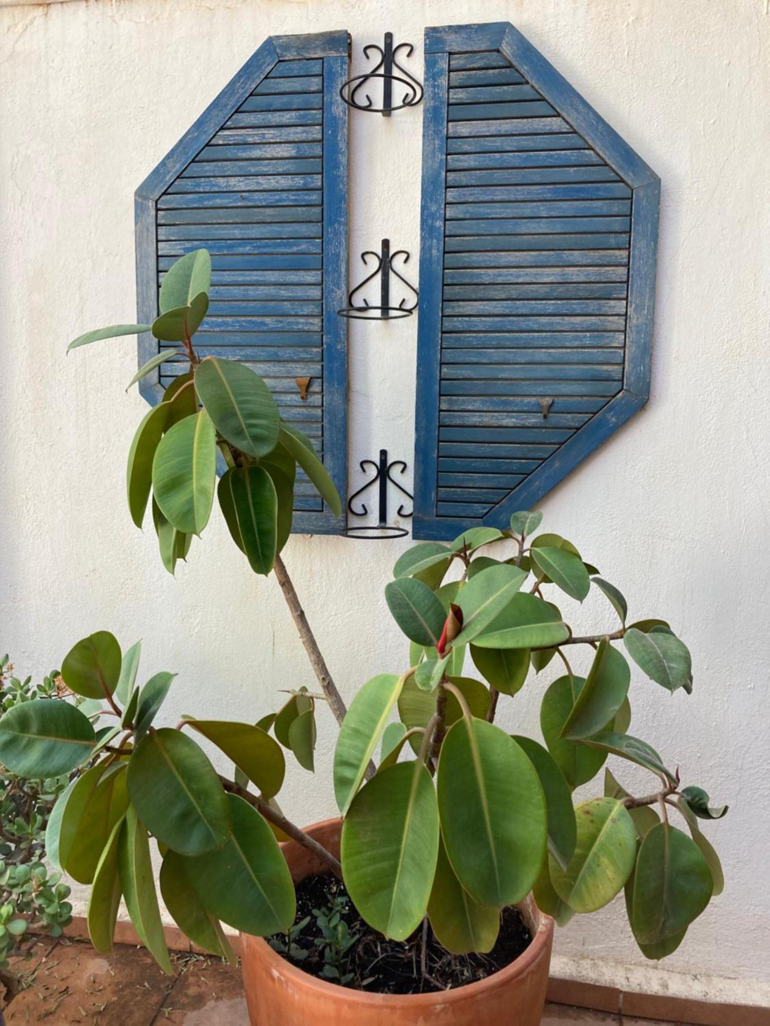 Casa Coco No 11 Daire Polopos Dış mekan fotoğraf